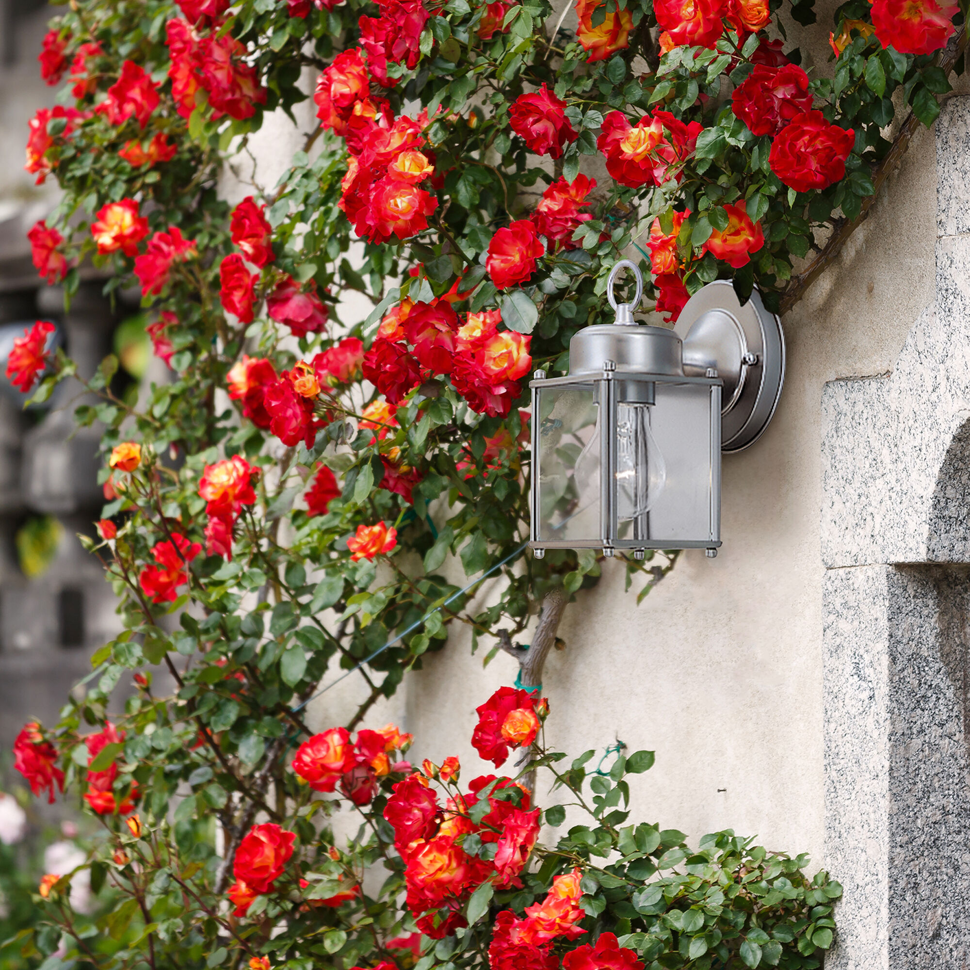 Basic Porch 1 Light 8 inch Pewter Outdoor Wall Lantern